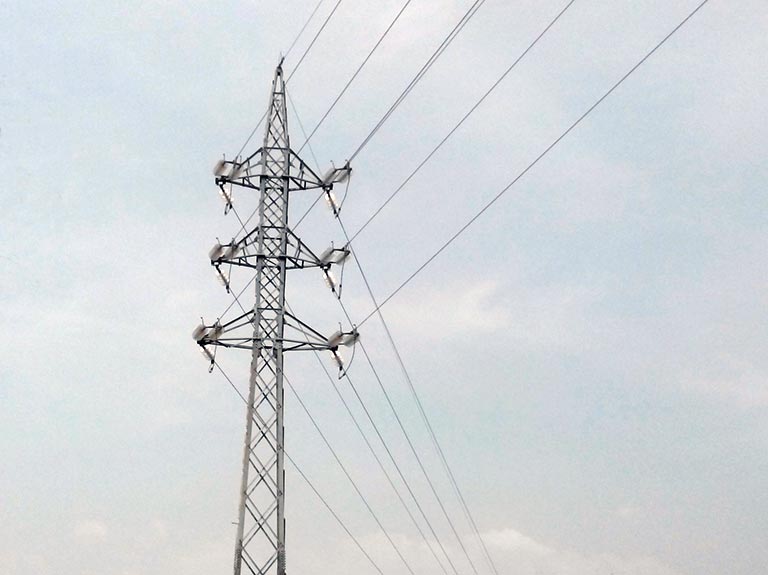 DISTRIBUTION LINE AJA – LEKKI