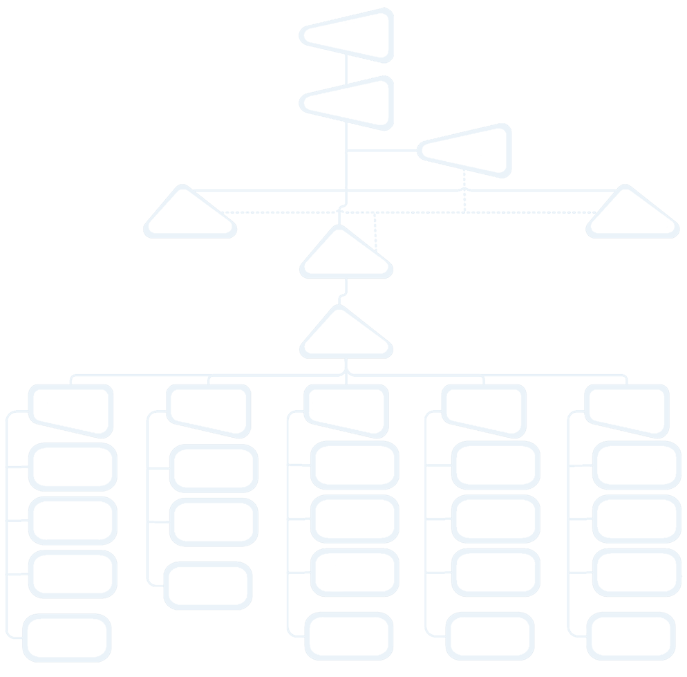 Company Structure